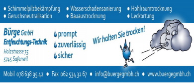 Bürge GmbH Safenwil Bürge GmbH Safenwil