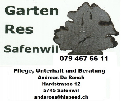 Andreas Da Ronch, Safenwil